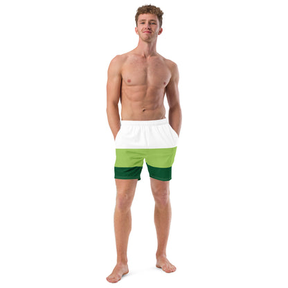 Men's swim trunks