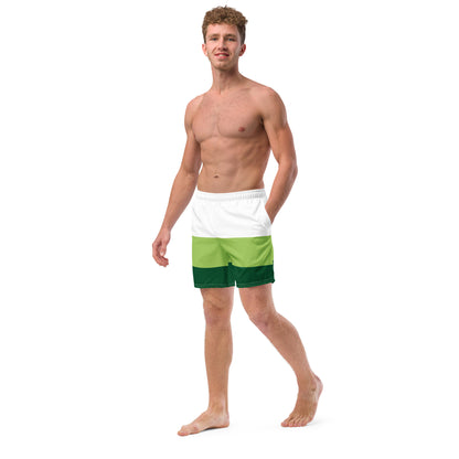 Men's swim trunks