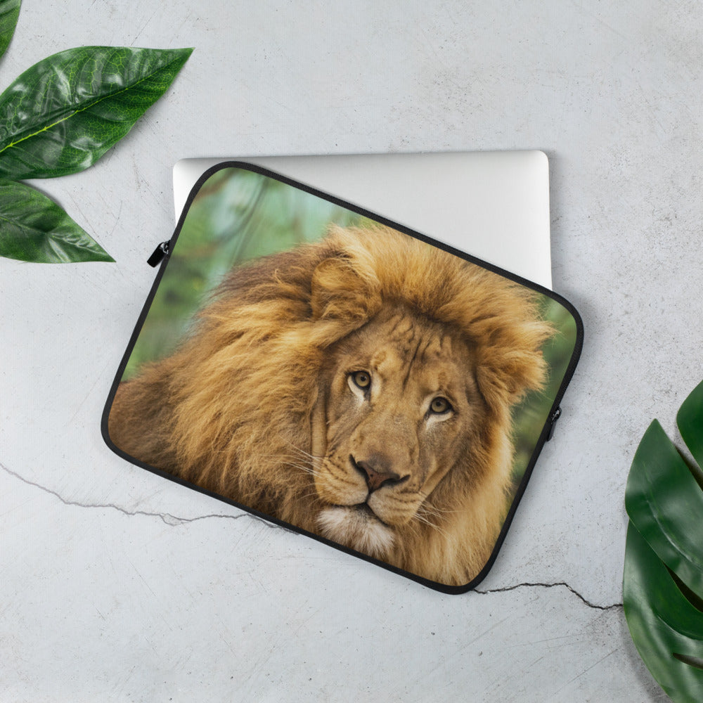 Laptop Sleeve